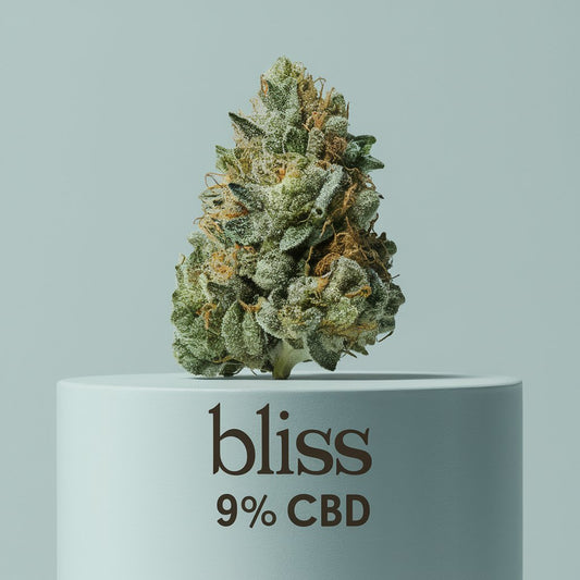 Bliss CBD (Pacotem com 2 sementes)